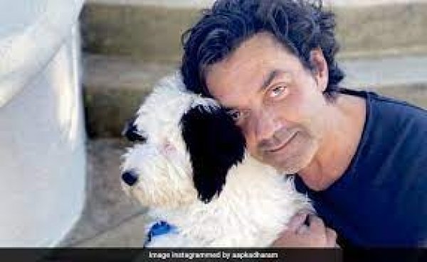 धर्मेद्र ने शेयर की बेटे बॉबी देओल और उनके पेट की ये PHOTO, फैंस से पूछा अनोखा सवाल