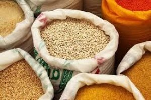 सेवा सहकारी समिति मर्यादित सनौद में प्रधानमंत्री अन्न दाता आय संरक्षण अभियान के अंतर्गत दलहन तिलहन की खरीदी प्रारंभ