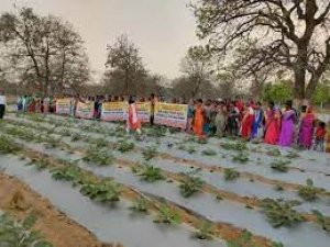 गोठान समूहों की 25 महिलाओं को क्षमतावर्धन हेतु कराया गया क्षेत्रीय भ्रमण