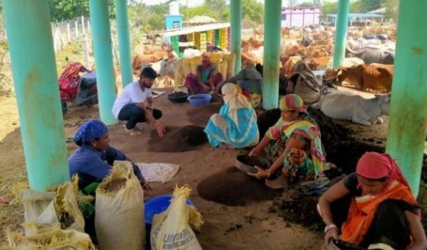 वर्मी कम्पोस्ट बना अतिरिक्त आय का जरिया  जैविक खेती को मिलेगा बढ़ावा