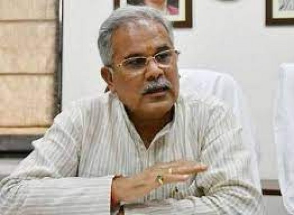 विश्व वानिकी दिवस  मुख्यमंत्री ने पर्यावरण संरक्षण के लिए जंगल को बचाने की अपील की