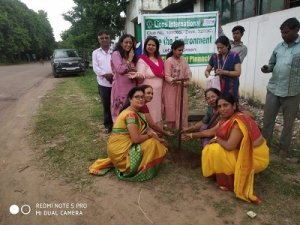 वृक्षारोपण : लायंस क्लब भिलाई पिनाकल द्वारा सरस्वती शिशु मंदिर  में वृक्षारोपण 