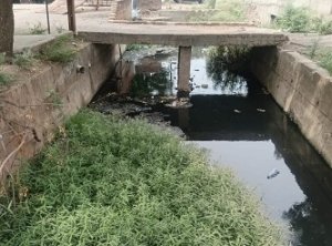 रिसाली निगम आयुक्त ने दो ठेकेदारों को दिया 24 घंटे का अल्टीमेटम मॉर्निंग वॉक में जांच करने निकली तो खुली पोल