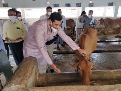 विधायक और  छत्तीसगढ़ कामधेनु विश्वविद्यालय कार्यपरिषद के सदस्य यादव ने किया कामधेनु विश्वविद्यालय का भ्रमण