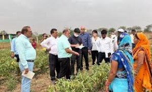 गौठानों का इको सिस्टम देखकर जीका समूह के जापानी हुए प्रभावित