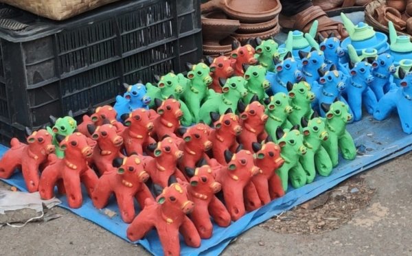 पशुधन के प्रति कृतज्ञता के साथ ही सामाजिक, सांस्कृतिक और पर्यावरणीय दृष्टि से भी महत्वपूर्ण है पोला त्यौहार