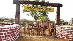 विशेष लेख : आजीविका सृजन एवं जीवनयापन का सशक्त माध्यम बन रहे हैं गौठान
