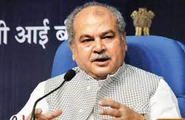 केंद्र सरकार कृषि कानूनों को वापस नहीं लाएगी, कृषि मंत्री ने दी सफाई