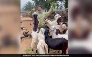 मुर्गियों और बकरियों के बीच घिरे दिखे Akshay Kumar, Video शेयर कर बोले- मिलती है खुशी