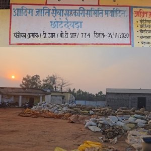 700 बोरी धान की हो गई चोरी... फिर भी जिम्मेदार कर रहे सीना जोरी?