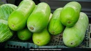 चाहती हैं सफेद बालों को काला करना, तो ऐसे लगाएं लौकी, कुछ ही दिनों में हो जाएंगे ब्&zwj;लैक