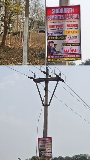 शासकीय खंभों पर &lsquo;सफेदी&rsquo; से लीपापोती &mdash; कार्रवाई या महज़ औपचारिकता?