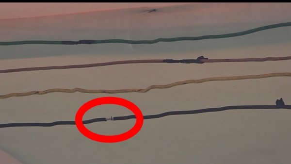 मीना बाजार में सुरक्षा की भारी लापरवाही, जिम्मेदार अधिकारी क्यों नहीं कर रहे कार्यवाही?