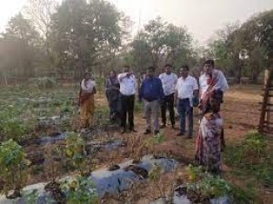 संभागायुक्त ने किया ग्राम उरझे का आकस्मिक निरीक्षण  सामुदायिक बाड़ी का किया अवलोकन
