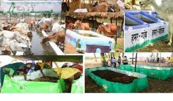 वनांचल क्षेत्र के गौठान अब ग्रामीण औद्योगिक पार्क के रूप में हो रहा विकसित