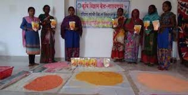 नारायणपुर : समूह की महिलाओं के हर्बल गुलाल से रंगेगा नारायणपुर