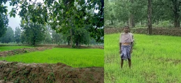 वन अधिकार से कालीराम के जीवन मेें आयी खुशियों की बहार